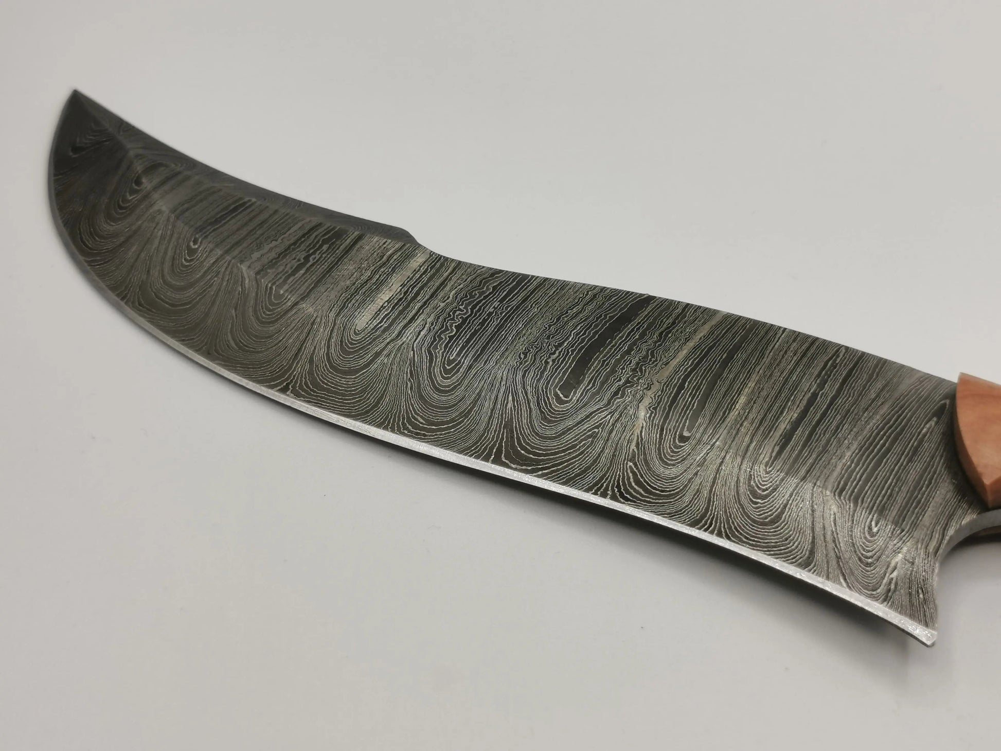 Couteau de Chasse Damas - Le Rustrel Hosteel