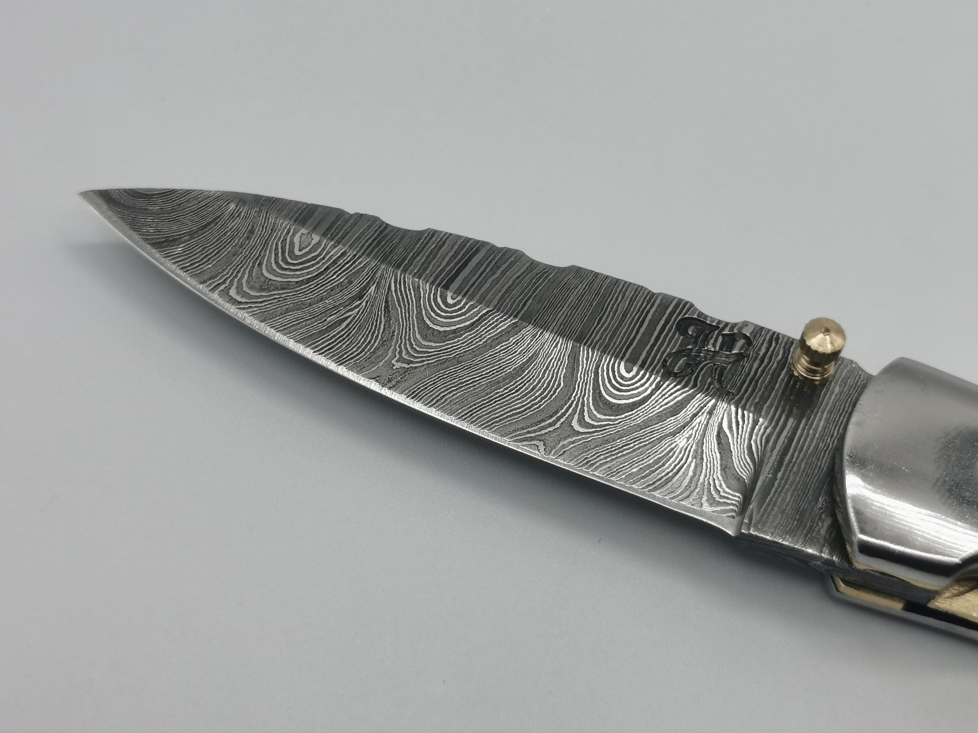 Gros plan sur la pointe de lame damas et le logo Hosteel du couteau Le Luberon
