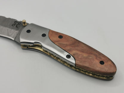 Détail du manche bois d'olivier et acier inoxydable brossé du couteau Le Pagnol
